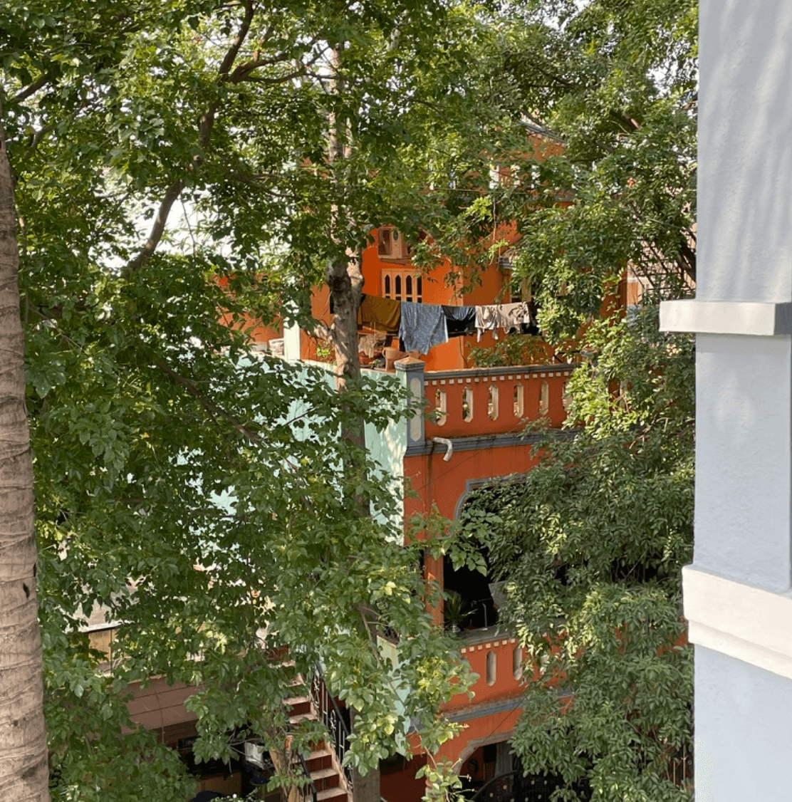 An orange and blue building in India, peeking through vibrant green foliage